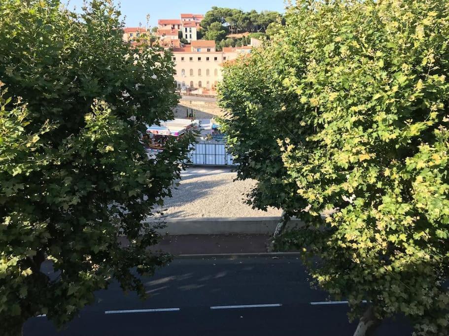 Studio Bon Dia/Balcon/Proche Criques Et Collioure Port Vendres Exterior foto