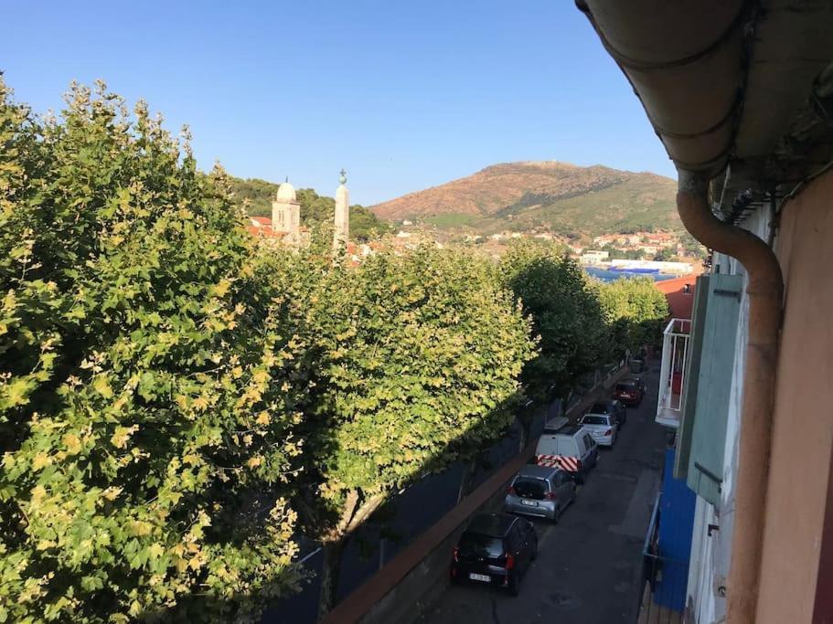 Studio Bon Dia/Balcon/Proche Criques Et Collioure Port Vendres Exterior foto